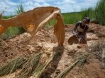 The collapse occurred in Kangaba district in the southwestern Koulikoro region. (Reuters/File)