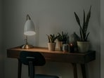 plants_on_desk