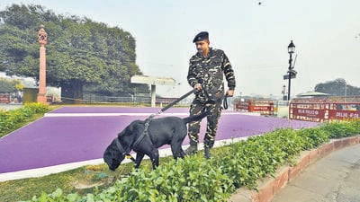 A security personnel with a sniffer dog at Vijay Chowk on Wednesday. (Sanjeev Verma/HT Photo) A security personnel with a sniffer dog at Vijay Chowk on Wednesday. (Sanjeev Verma/HT Photo)