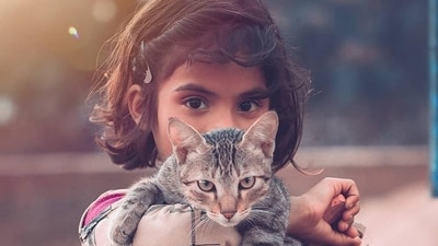 UDAAN CBSE scholarship program: Implemented by the Central Board of Secondary Education (CBSE) under the Ministry of Human Resource Development, this initiative aims to address the underrepresentation of female students in prestigious engineering institutions and bridge the gap between school education and engineering entrance examinations. Open to girls in Class XI of Kendriya Vidyalayas (KVs), Navodaya Vidyalayas (NVs), government schools of any recognized board, or CBSE-affiliated private schools in India, selection is merit-based, requiring a minimum of 70% overall in Class X and 80% in Science and Mathematics for CGPA boards, or a minimum CGPA of 8 with a GPA of 9 in Science and Mathematics. (Instagram/@yourclicks_ (File Photo)) UDAAN CBSE scholarship program: Implemented by the Central Board of Secondary Education (CBSE) under the Ministry of Human Resource Development, this initiative aims to address the underrepresentation of female students in prestigious engineering institutions and bridge the gap between school education and engineering entrance examinations. Open to girls in Class XI of Kendriya Vidyalayas (KVs), Navodaya Vidyalayas (NVs), government schools of any recognized board, or CBSE-affiliated private schools in India, selection is merit-based, requiring a minimum of 70% overall in Class X and 80% in Science and Mathematics for CGPA boards, or a minimum CGPA of 8 with a GPA of 9 in Science and Mathematics. (Instagram/@yourclicks_ (File Photo))