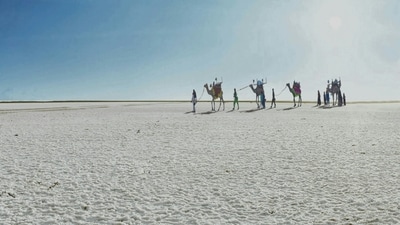 Rann Of Kutch, Gujarat: The Rann of Kutch is a vast salt marsh located in the Thar Desert of Gujarat, India. The landscape here is otherworldly, especially during the Rann Utsav when the entire area comes alive with cultural performances, handicrafts, and vibrant colours. The stark white salt flats against the backdrop of the blue sky create a mesmerizing sight, especially during sunrise and sunset. (Unsplash) Rann Of Kutch, Gujarat: The Rann of Kutch is a vast salt marsh located in the Thar Desert of Gujarat, India. The landscape here is otherworldly, especially during the Rann Utsav when the entire area comes alive with cultural performances, handicrafts, and vibrant colours. The stark white salt flats against the backdrop of the blue sky create a mesmerizing sight, especially during sunrise and sunset. (Unsplash)