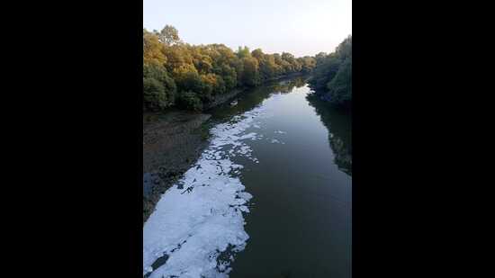 Chemical effluents in water bodies worry Navi Mumbai residents