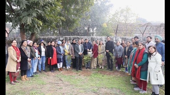 Volunteers of tree plantation drive from GCE, income tax department and Parijat Eco Club planting saplings. (HT Photo)