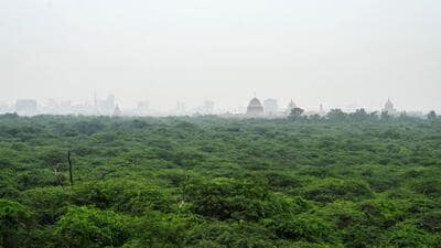 New Delhi, India - Aug. 4, 2023: A view of Central Ridge from Malcha Mahal , in New Delhi, India, on Friday, August 4, 2023. (Photo by Vipin Kumar/ Hindustan Times) Pics for Jasjeev Story) (Hindustan Times) New Delhi, India - Aug. 4, 2023: A view of Central Ridge from Malcha Mahal , in New Delhi, India, on Friday, August 4, 2023. (Photo by Vipin Kumar/ Hindustan Times) Pics for Jasjeev Story) (Hindustan Times)
