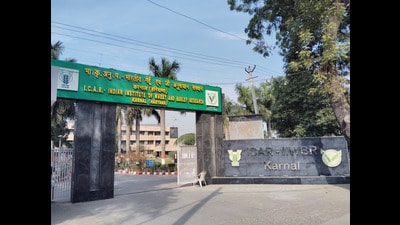 On Thursday, IMD stated that till date there has been no rain reported in any of the 22 districts against 10.6 mm normal seasonal rainfall during the month. (HT Photo) On Thursday, IMD stated that till date there has been no rain reported in any of the 22 districts against 10.6 mm normal seasonal rainfall during the month. (HT Photo)