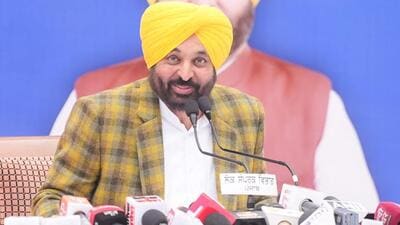 Punjab CM Bhagwant Mann (File)