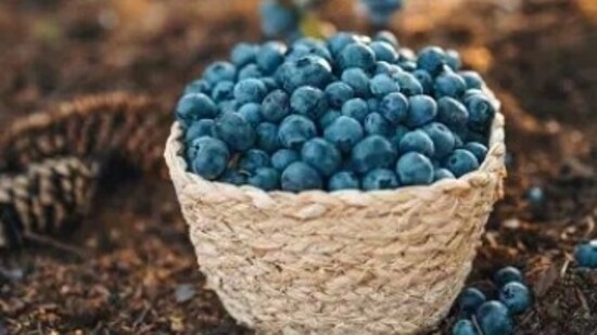 Blueberries also help in improving gut microbiome, and boosting brain health, when added to the diet on a daily basis.&nbsp;(Unsplash)