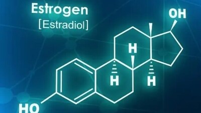 Estrogen: This hormone has a direct impact on mood, learning and memory functions. It also helps in promoting neural growth and elasticity. (Unsplash) Estrogen: This hormone has a direct impact on mood, learning and memory functions. It also helps in promoting neural growth and elasticity. (Unsplash)