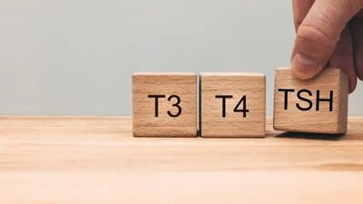 Thyroid hormones: Thyroid hormones help in regulating metabolism and improving brain development, especially during infancy. (Unsplash) Thyroid hormones: Thyroid hormones help in regulating metabolism and improving brain development, especially during infancy. (Unsplash)