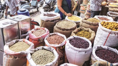 According to IGrain’s data, India imported 142,000 tonnes of pigeon pea from Mozambique between April and October 2023 (Bloomberg File) According to IGrain’s data, India imported 142,000 tonnes of pigeon pea from Mozambique between April and October 2023 (Bloomberg File)