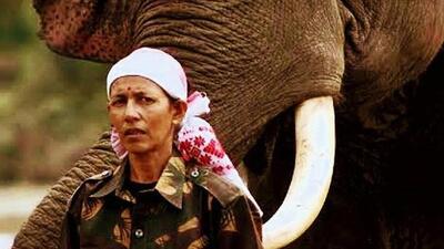 India’s first female elephant mahout Parbati Barua (Twitter Photo) India’s first female elephant mahout Parbati Barua (Twitter Photo)