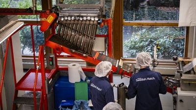 Employees monitor containers of snus moving along the production line at a factory of Swedish Match AB, owned by Philip Morris International Inc., in Gothenburg, Sweden, on Thursday, Sept. 21, 2023. Debate is raging over whether snus, nicotine-filled pouches resembling tiny teabags that users stuff under their upper lip, is the symptom or cause of Sweden�s breakup with smoking. Photographer: Nora Lorek/Bloomberg (Bloomberg) Employees monitor containers of snus moving along the production line at a factory of Swedish Match AB, owned by Philip Morris International Inc., in Gothenburg, Sweden, on Thursday, Sept. 21, 2023. Debate is raging over whether snus, nicotine-filled pouches resembling tiny teabags that users stuff under their upper lip, is the symptom or cause of Sweden�s breakup with smoking. Photographer: Nora Lorek/Bloomberg (Bloomberg)