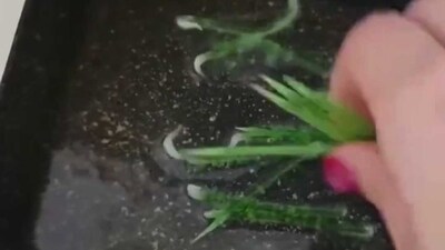 A still of women frying these green toothpicks from a video on Twitter