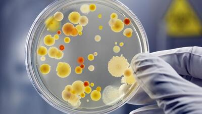 This is a move meant to head off the growing threat from diseases that are becoming harder to treat. (Getty Images/Representational Use) This is a move meant to head off the growing threat from diseases that are becoming harder to treat. (Getty Images/Representational Use)