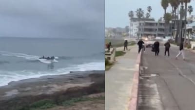 Illegal migrants arriving on a boat at La Jolla beaches in San Diego, California (X, formerly Twitter/ Collin Rugg) Illegal migrants arriving on a boat at La Jolla beaches in San Diego, California (X, formerly Twitter/ Collin Rugg)