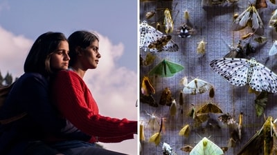 A still from Girls Will Be Girls and Nocturnes. A still from Girls Will Be Girls and Nocturnes.