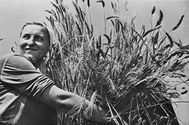 Woman collective farmer near Krasnodar, USSR, with newly harvested wheat circa 1935-40. (Shutterstock) Woman collective farmer near Krasnodar, USSR, with newly harvested wheat circa 1935-40. (Shutterstock)