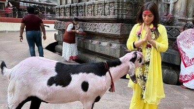 Samiksha Pednekar seeks blessings from a goat at the Kamakhya Temple in Assam. She and Bhumi are perceived to be twins from their similar facial features but they are not twins.&nbsp; 
