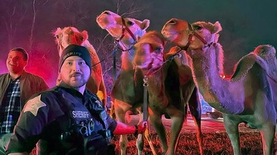 In this photo provided by Grant County Sheriff's Office, animals are rescued by emergency responders after a truck fire near Marion, Ind., early Saturday, Jan. 27, 202. A truck hauling zebras and camels for a series of weekend circus performances caught fire early Saturday on the northeastern Indiana highway, prompting a police rescue of the animals. Sgt. Steven Glass with Indiana State Police says the tractor-trailer caught fire about 2 a.m. along Interstate 69 in Grant County about 60 miles northeast of Indianapolis. (Grant County Sheriff's Office via AP) (AP) In this photo provided by Grant County Sheriff's Office, animals are rescued by emergency responders after a truck fire near Marion, Ind., early Saturday, Jan. 27, 202. A truck hauling zebras and camels for a series of weekend circus performances caught fire early Saturday on the northeastern Indiana highway, prompting a police rescue of the animals. Sgt. Steven Glass with Indiana State Police says the tractor-trailer caught fire about 2 a.m. along Interstate 69 in Grant County about 60 miles northeast of Indianapolis. (Grant County Sheriff's Office via AP) (AP)