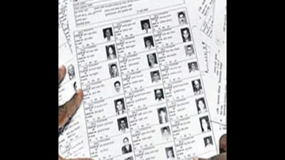 Maximum 13,207 voters have increased in Karachhana assembly area located in trans-Yamuna region of Prayagraj. (For Representation)