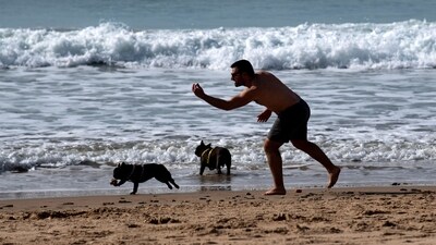 The favorable weather has resulted in crowded beaches from southwestern Cádiz to northeastern Barcelona, scenes typically seen during the summer months. (AFP) The favorable weather has resulted in crowded beaches from southwestern Cádiz to northeastern Barcelona, scenes typically seen during the summer months. (AFP)