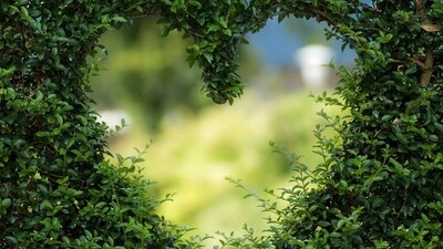 Daily Love and Relationship Horoscope 2024: Find out love predictions for January 28. Daily Love and Relationship Horoscope 2024: Find out love predictions for January 28.