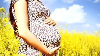 What is the existing law on abortion and why do various courts' decisions differ widely? (Shutterstock) What is the existing law on abortion and why do various courts' decisions differ widely? (Shutterstock)