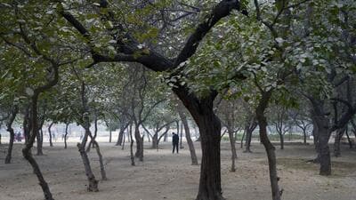 A man exercises in the morning in a public park in New Delhi, India, Friday, Jan. 5, 2024. (AP Photo/Ashwini Bhatia) (AP) A man exercises in the morning in a public park in New Delhi, India, Friday, Jan. 5, 2024. (AP Photo/Ashwini Bhatia) (AP)
