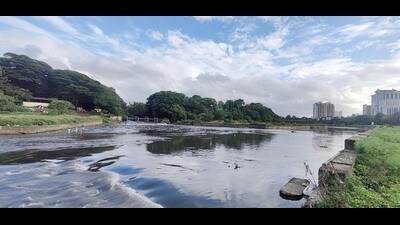 Currently, most of the rivers across Pune are in horrible condition with maximum untreated sewage flowing into rivers. (HT PHOTO) Currently, most of the rivers across Pune are in horrible condition with maximum untreated sewage flowing into rivers. (HT PHOTO)