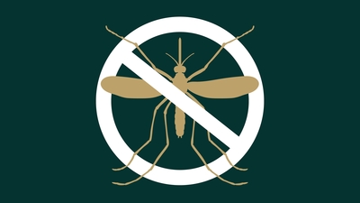 3. Add all-natural insect repellent cream:&nbsp;The best insect repellent cream to protect your child from bothersome mosquitoes and insect bites is one that comprises natural components, organic herbs, and essential oils. In addition to providing protection against creepy crawlies, a natural dermatologically tested repellent cream with DEET and alcohol-free formulation also soothes dry, itchy, and irritated skin and speeds up wound healing.&nbsp; (Photo by Twitter/pinecrestfl )