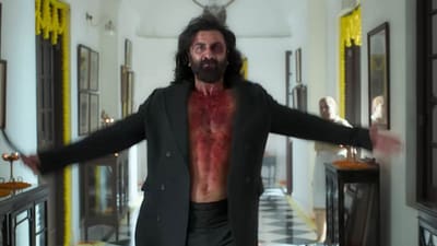 Ranbir Kapoor in a still from Animal.
