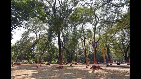 Empress Garden is regarded as one of the lungs of Pune city and a hotspot of rich biodiversity spread over 40 acres of land near the Pune Racecourse. (Pratham Gokhale/HT Photo)