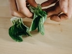 leafy_green