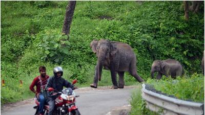 MoEFCC assured the court that the amended Act does not dilute the wider meaning of forests defined by the Supreme Court in a celebrated judgment of December 12, 1996 in the TN Godavarman matter (HT)
