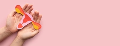 HPV vaccines has been instrumental in preventing high-risk HPV infections HPV vaccines has been instrumental in preventing high-risk HPV infections