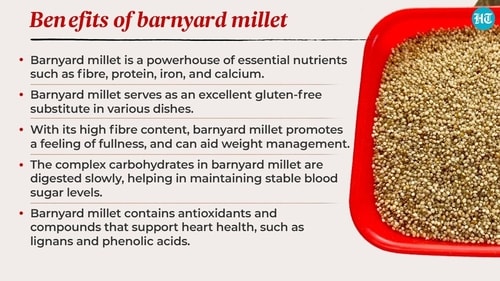 Ideal for those with gluten sensitivity or celiac disease, barnyard millet serves as an excellent gluten-free substitute in various dishes. Ideal for those with gluten sensitivity or celiac disease, barnyard millet serves as an excellent gluten-free substitute in various dishes.
