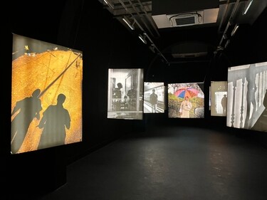 This immersive exhibition has works of Raihan Vadra, who uses installations, visual art, sound and lighting to explore multiple comparisons and analogies that human beings face through life. This immersive exhibition has works of Raihan Vadra, who uses installations, visual art, sound and lighting to explore multiple comparisons and analogies that human beings face through life.