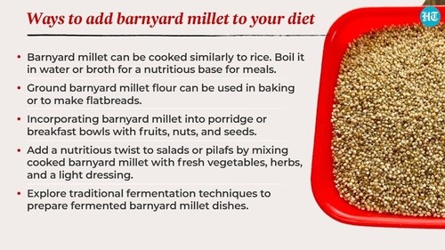 Barnyard millet can be cooked similarly to rice. Boil it in water or broth for a nutritious base for meals. Barnyard millet can be cooked similarly to rice. Boil it in water or broth for a nutritious base for meals.