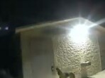 The K-9 alerted officials to a locked bathroom door at a park (@HCSOSheriff/X) The K-9 alerted officials to a locked bathroom door at a park (@HCSOSheriff/X)