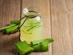 With its laxative properties, aloe vera can help aid digestion and boosts metabolism. As per several studies, aloe vera extract is effective in increasing insulin sensitivity and reducing fasting blood glucose. With its laxative properties, aloe vera can help aid digestion and boosts metabolism. As per several studies, aloe vera extract is effective in increasing insulin sensitivity and reducing fasting blood glucose.