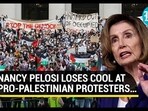 NANCY PELOSI LOSES COOL AT PRO-PALESTINIAN PROTESTERS…