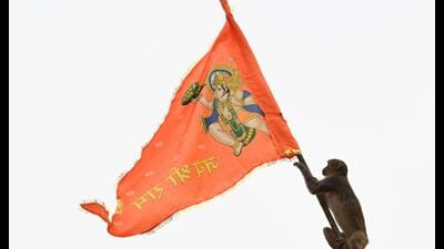 A saffron flag was removed in Tenginagundi village in Uttara Kannada district (HT) A saffron flag was removed in Tenginagundi village in Uttara Kannada district (HT)