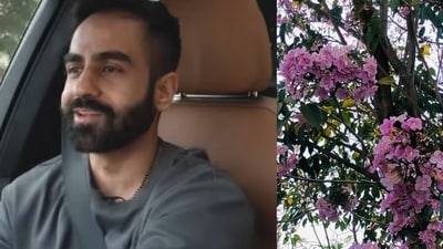 Nikhil Kamath and friends to grow thousands of cherry blossom trees in Bengaluru Nikhil Kamath and friends to grow thousands of cherry blossom trees in Bengaluru