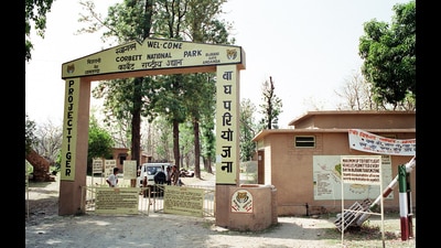 The tiger population in the 512 sq km reserve is the highest in the country (HT Archive)