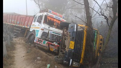 The truck then crashed into a tree. At the time of the incident, two students, a driver and an attendant were in the school van. They suffered minor injuries. (HT Photo) The truck then crashed into a tree. At the time of the incident, two students, a driver and an attendant were in the school van. They suffered minor injuries. (HT Photo)