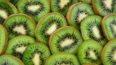 Kiwifruit can be consumed as a whole fruit, in desserts, salads, jams, juices, marmalades, nectar, jellies, apart from others. (Pixabay) Kiwifruit can be consumed as a whole fruit, in desserts, salads, jams, juices, marmalades, nectar, jellies, apart from others. (Pixabay)