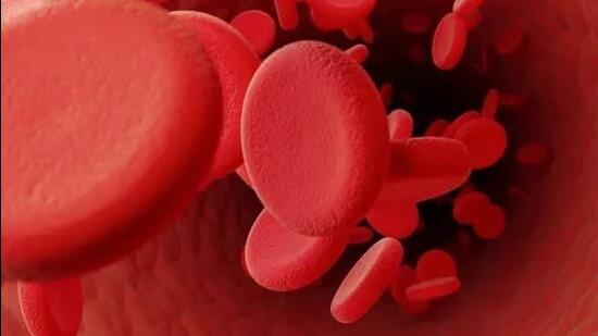 Thalassaemia and haemophilia are genetic blood-related disorders. (HT Photo)