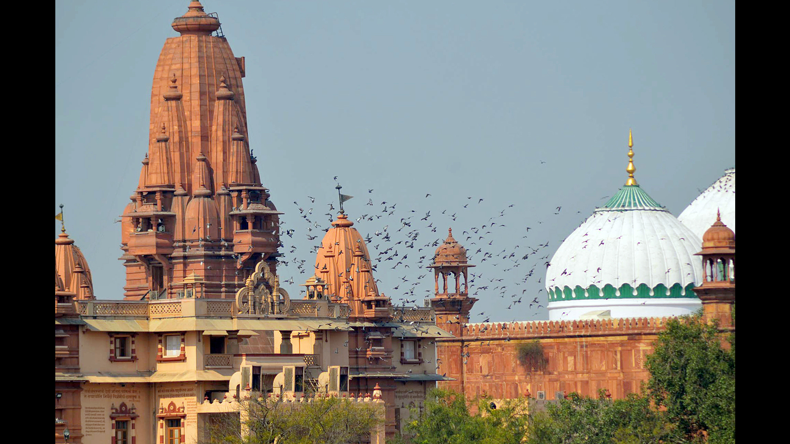 Allahabad HC notice to mosque panel on plea seeking survey of sealed area - Vimarsana News