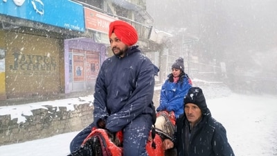 Tourists enjoy horse ride after a fresh spell of snowfall, at Kufri Hill Resort in Shimla. (ANI)