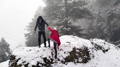"We have come here with family with the hope of experiencing snowfall, and we are happy that we were able to experience it. This is my first experience in life; people are also very friendly here. We hope this nature will prevail here," said another tourist. (ANI)